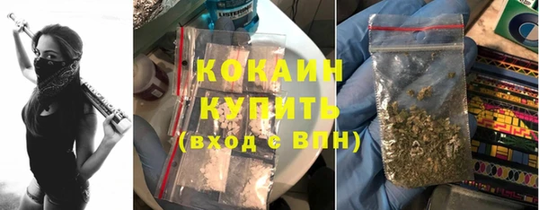 сатива Верхний Тагил