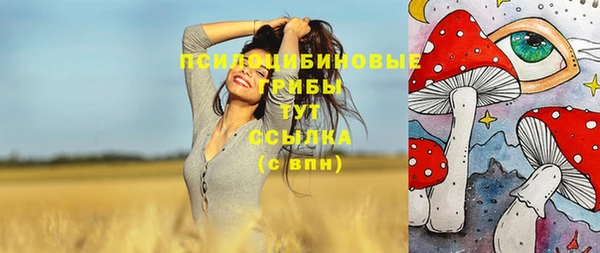 мдпв Бугульма