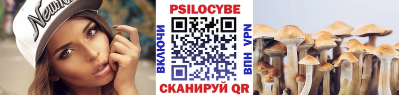 Галлюциногенные грибы мицелий МЕГА ССЫЛКА Видное